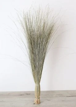 Afloral Preserved Dune Grass - 36" Dried Flowers