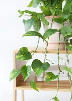 Afloral Real Touch Hanging Pothos Fake Plant - 22