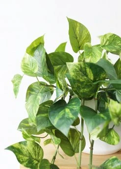 Afloral Artificial Plants Natural Touch Pothos Artificial Plant - 48"