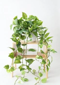 Afloral Artificial Plants Natural Touch Pothos Artificial Plant - 48"