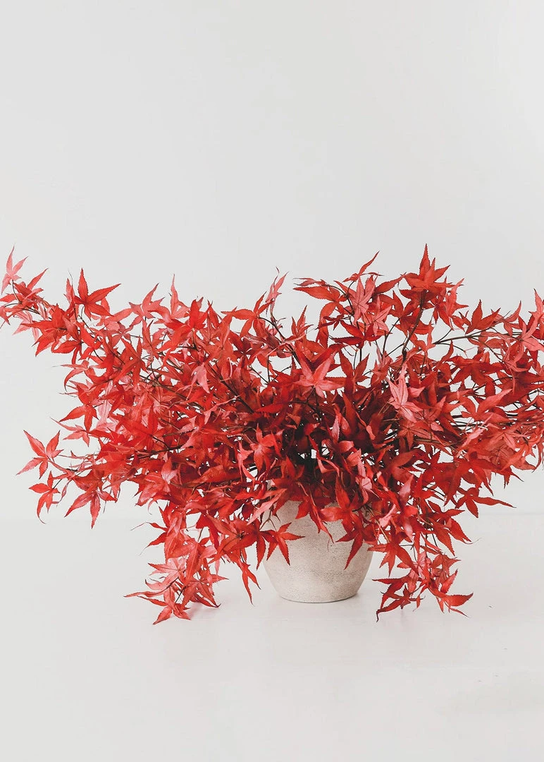 Afloral Fall Red Artificial Japanese Maple Leaves - 27" Artificial Plants