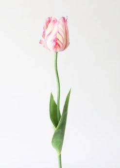 Afloral Tie Dye Pink Artificial Parrot Tulip - 25