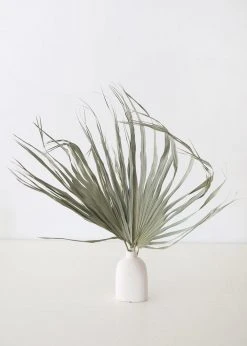 Afloral Bundle Of 5 Large Natural Fan Palms - 26-30