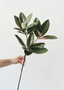 Afloral Artificial Magnolia Leaf - 34.5