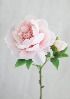 Afloral Artificial Flowers Silk Peony In Light Pink - 24