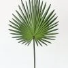 Afloral Artificial Fan Palm Leaf - 30" Artificial Plants