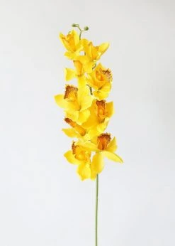 Afloral Silk Cymbidium Orchid In Golden Yellow - 30