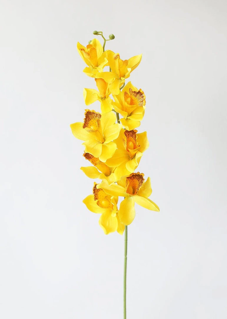 Afloral Silk Cymbidium Orchid In Golden Yellow - 30" Artificial Flowers