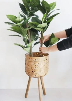 Afloral Woven Basket Plant Stand - 21.5"