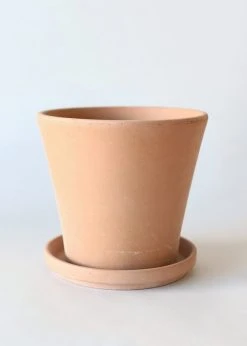 Afloral Large Terra Cotta Pot With Drainage - 9.5"