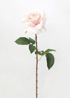 Afloral Real Touch Dutchess Rose In Pale Pink - 20