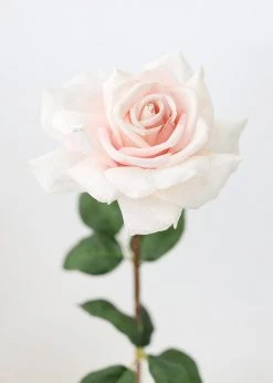 Afloral Real Touch Dutchess Rose In Pale Pink - 20