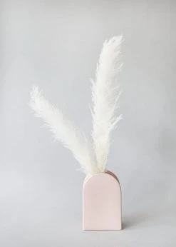 Afloral Bundle Of 3 Natural Skinny Pampas Grass - 38-42