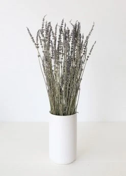 Afloral Dried Flowers Dried Lavender Wildflowers - 15-22