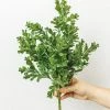 Afloral Artificial Plants Artificial Indoor/Outdoor Boxwood Plant - 15"