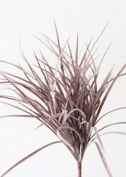 Afloral Indoor/Outdoor Grass Bush In Eggplant - 19
