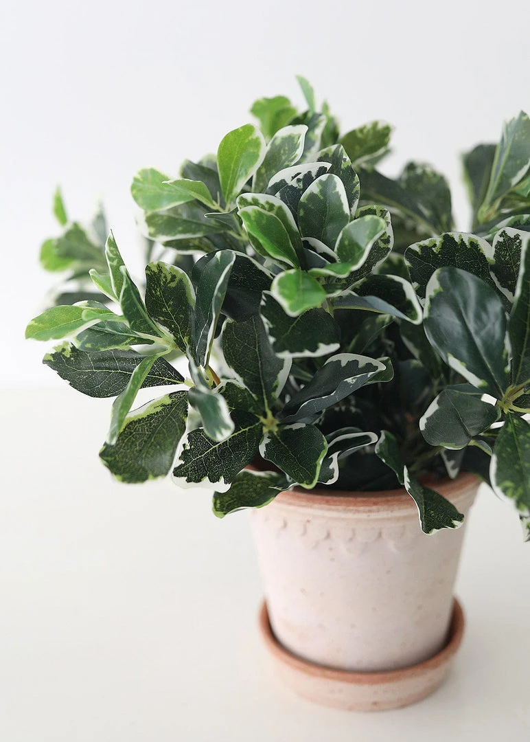 Afloral UV Protected Indoor/Outdoor Baby Schefflera Plant - 16.5" Artificial Plants