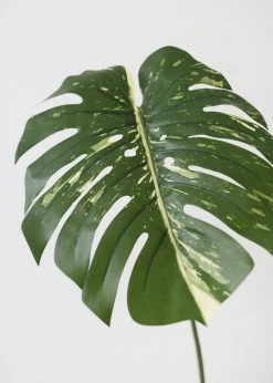 Afloral Artificial Philodendron Tropical Leaf - 23.5