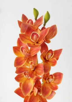 Afloral Artificial Cymbidium Orchids In Orange - 30