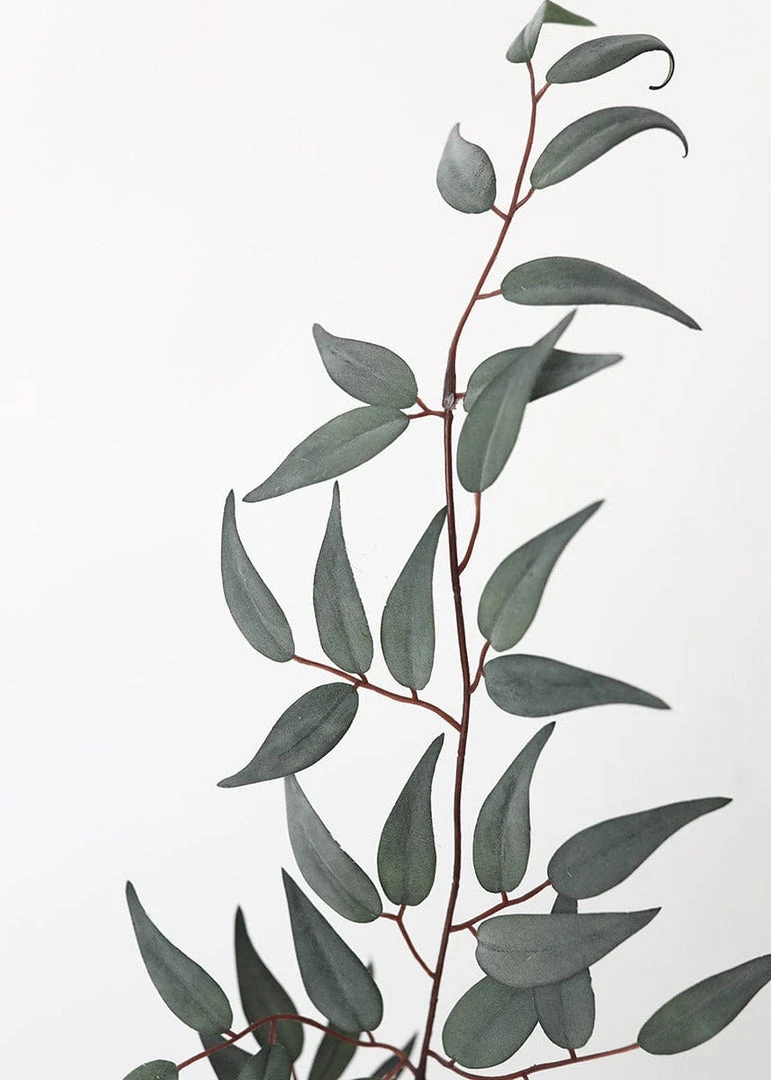Afloral Artificial Plants Artificial Italian Ruscus Leaf Branch - 36"