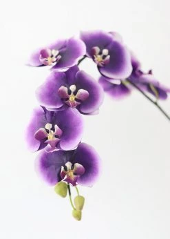 Afloral Faux Phalaenopsis Orchid In Purple - 45