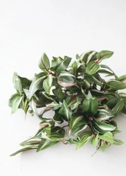 Afloral Artificial Plants Small Variegated Wandering Jew Plant - 12"