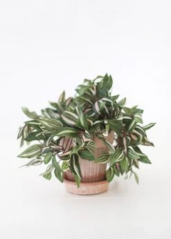 Afloral Artificial Plants Small Variegated Wandering Jew Plant - 12