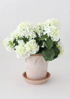 Afloral Bergs Elizabeth Terracotta Pot With Drainage - 6.5" Vases