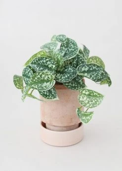 Afloral Vases Bergs Hoff Clay Pot With Drainage - 6.75"