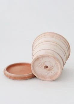 Afloral.com Bergs Pink Terra Cotta Pot With Drainage - 6
