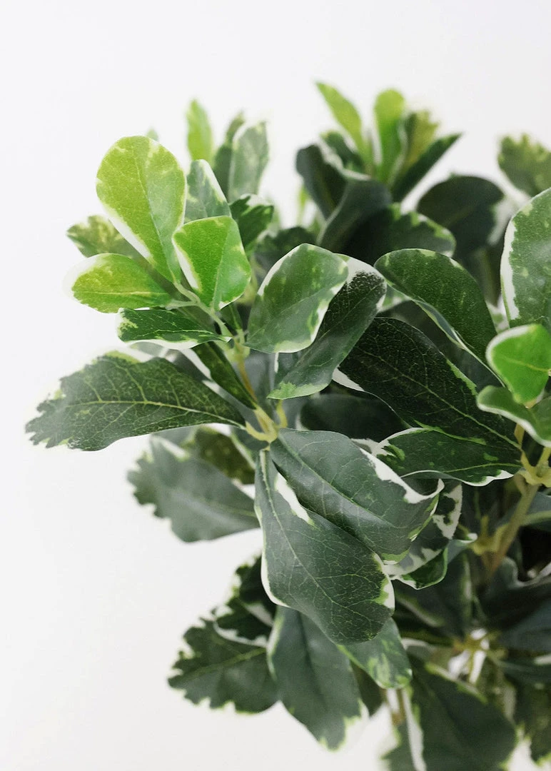 Afloral UV Protected Indoor/Outdoor Baby Schefflera Plant - 16.5" Artificial Plants