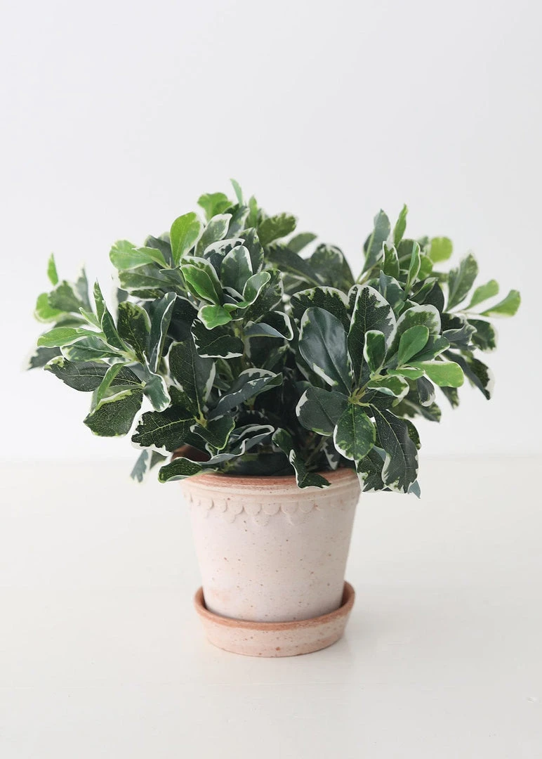 Afloral UV Protected Indoor/Outdoor Baby Schefflera Plant - 16.5" Artificial Plants