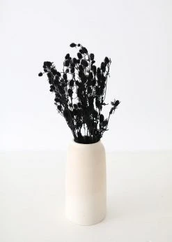 Afloral Dried Flowers Black Dried Eryngium Sea Holly Flowers - 15-22