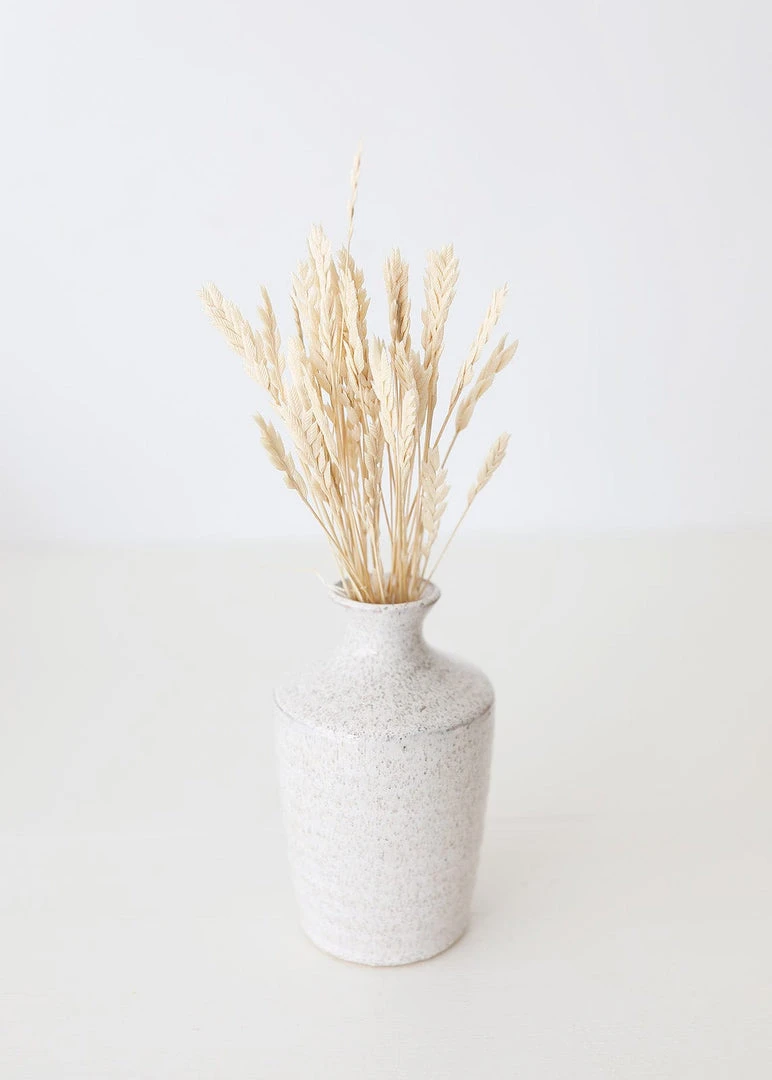 Afloral Dried Flowers Dried Petite Arrow Grass - 12"