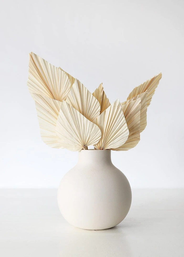 Afloral Dried Flowers Bundle Of 10 Bleached Dried Palm Spears - 14-20"