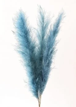 Afloral Dried Flowers Bundle Of 3 Blue Dried Pampas Grass - 40-48"