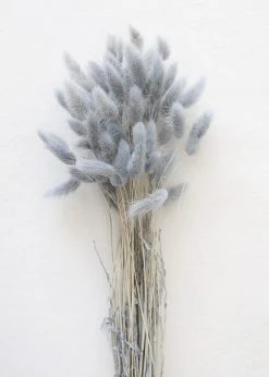 Afloral Blue Grey Dried Bunny Tails - 22-30"
