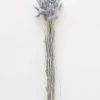 Afloral Blue Grey Dried Bunny Tails - 22-30"