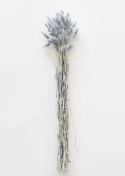 Afloral Blue Grey Dried Bunny Tails - 22-30"