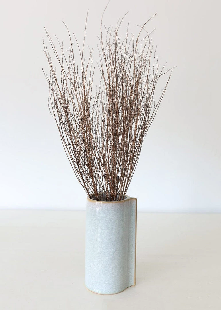 Afloral Dried Hoary Willow Branches - 20-30"
