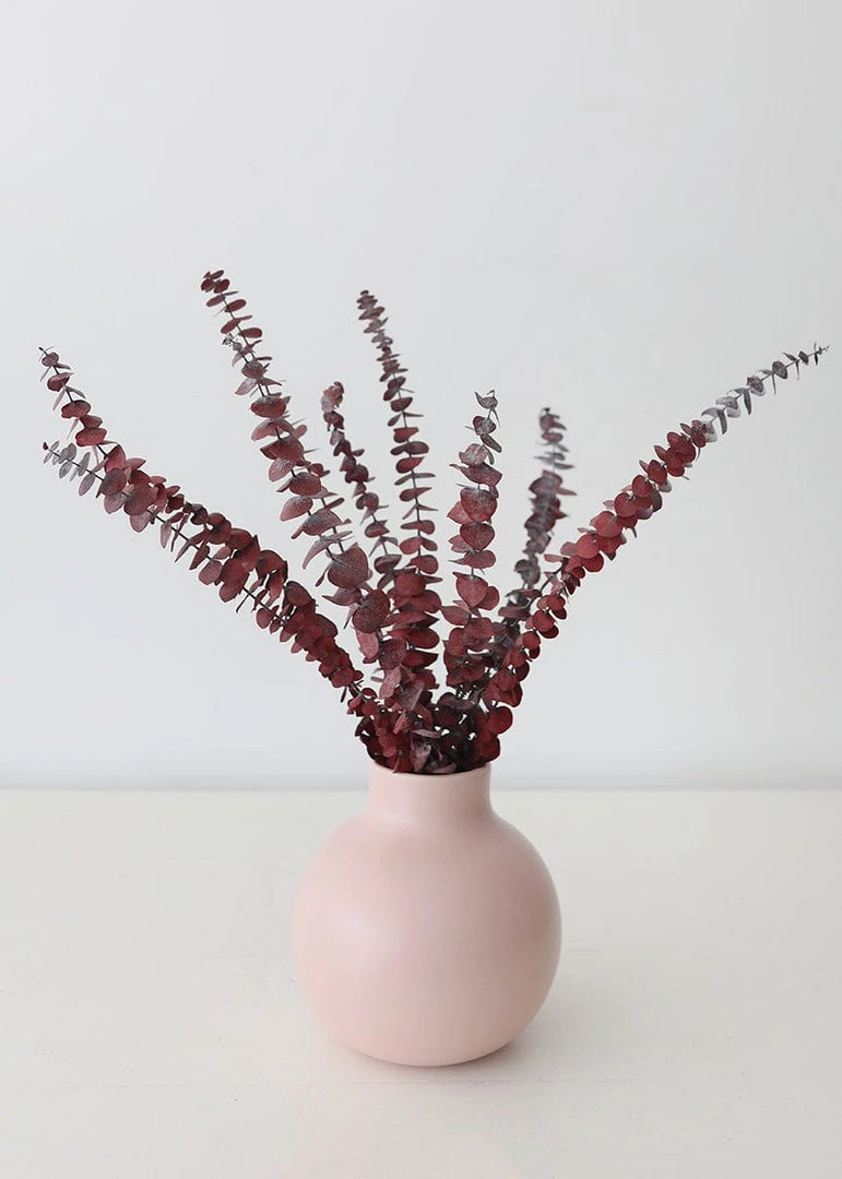 Afloral Cayenne Red Preserved Spiral Eucalyptus - 19-24" Dried Flowers