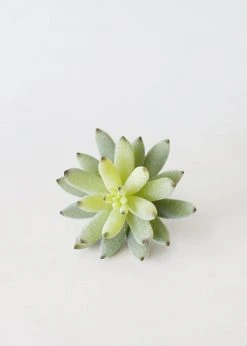 Afloral Artificial Plants Artificial Flocked Succulents Agave Cactus - 4"