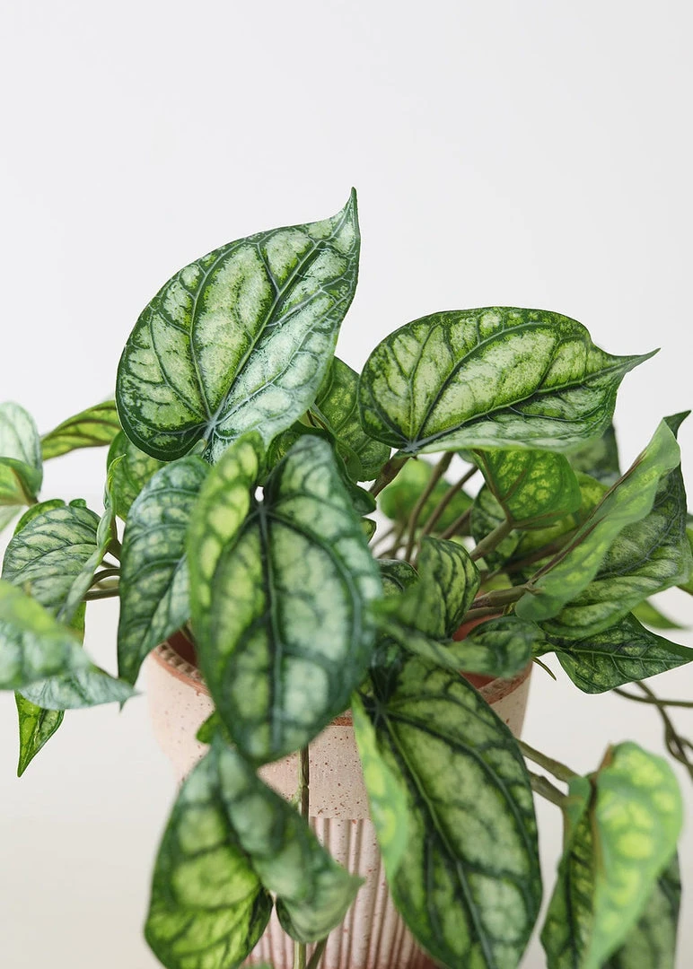 Afloral Artificial Plants UV Protected Peperomia Fake Hanging Plant - 19.5"