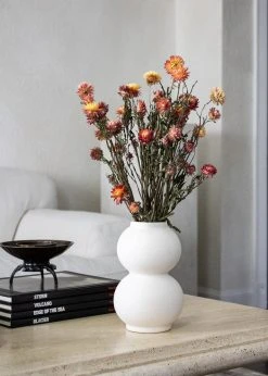 Afloral Dried Flowers Coral Dried Helichrysum Daisies - 15-22"