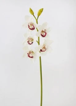 Afloral Cream Burgundy Faux Cymbidium Orchid - 31"