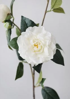 Afloral Real Touch Camellia Roses In Cream White - 35
