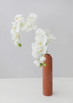 Afloral Artificial Flowers Cream Real Touch Phalaenopsis Orchids - 28