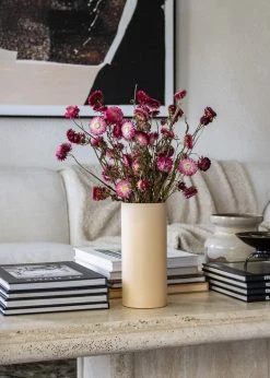 Afloral Dried Flowers Deep Pink Dried Everlasting Daisies - 15-22"