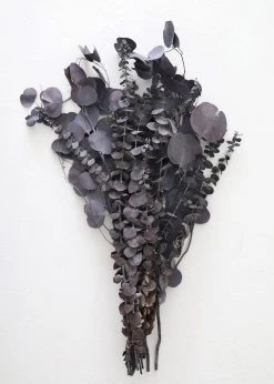 Afloral Preserved Black Purple Mixed Eucalyptus Bundle - 22-32" Dried Flowers