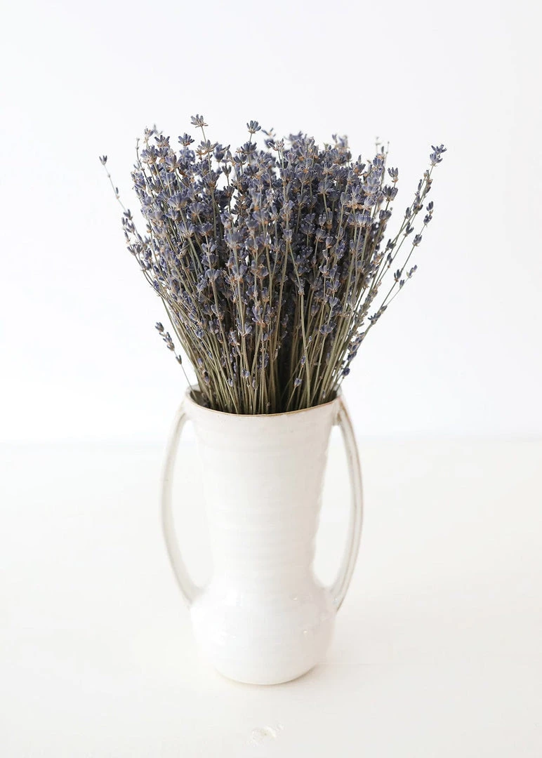 Afloral Dried Fragrant Lavender Bundle - 6-14" Dried Flowers